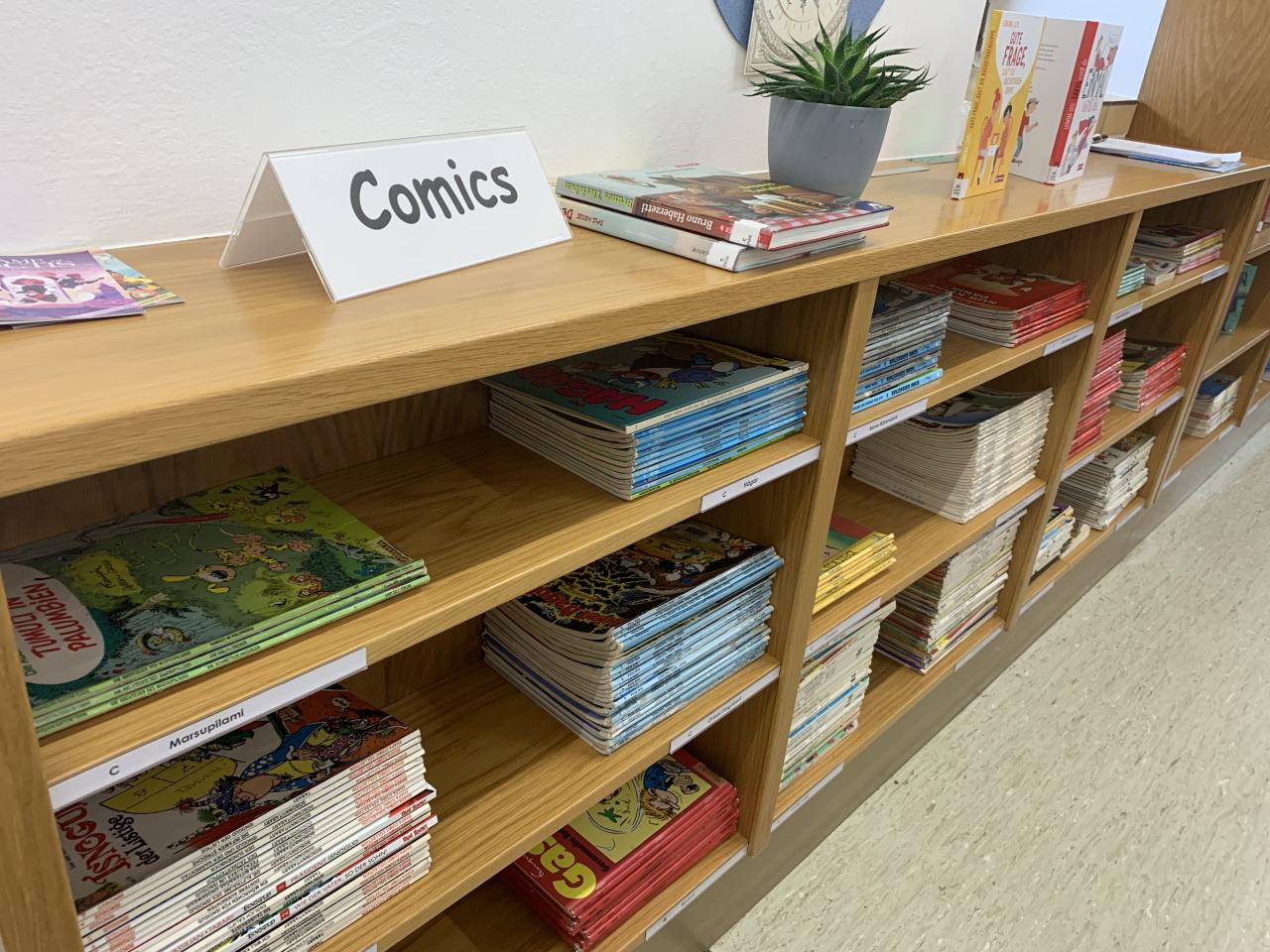 Comics Bibliothek Bad Leonfelden